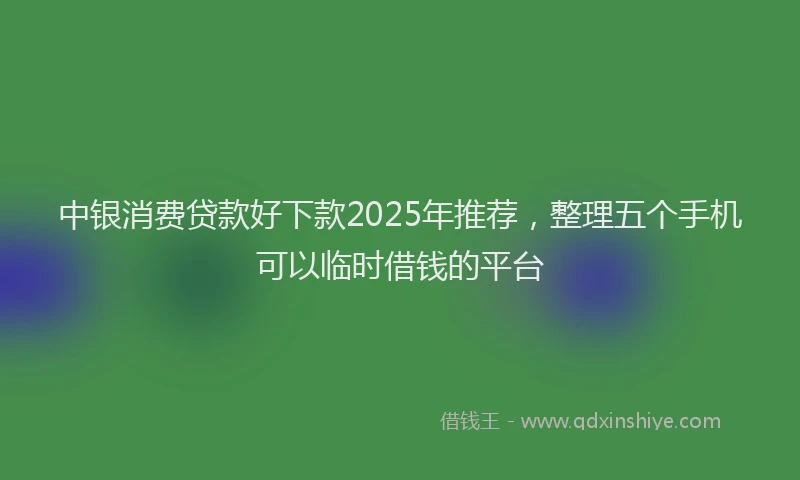 中银消费贷款好下款2025年推荐，整理五个手机可以临时借钱的平台