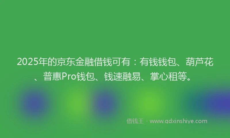 2025年的京东金融借钱可有：有钱钱包、葫芦花、普惠Pro钱包、钱速融易、掌心租等。
