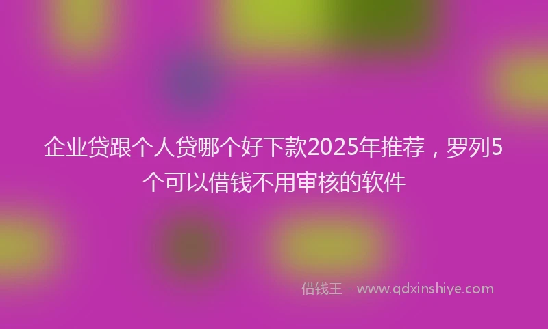 企业贷跟个人贷哪个好下款2025年推荐，罗列5个可以借钱不用审核的软件