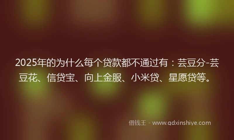 2025年的为什么每个贷款都不通过有：芸豆分-芸豆花、信贷宝、向上金服、小米贷、星愿贷等。