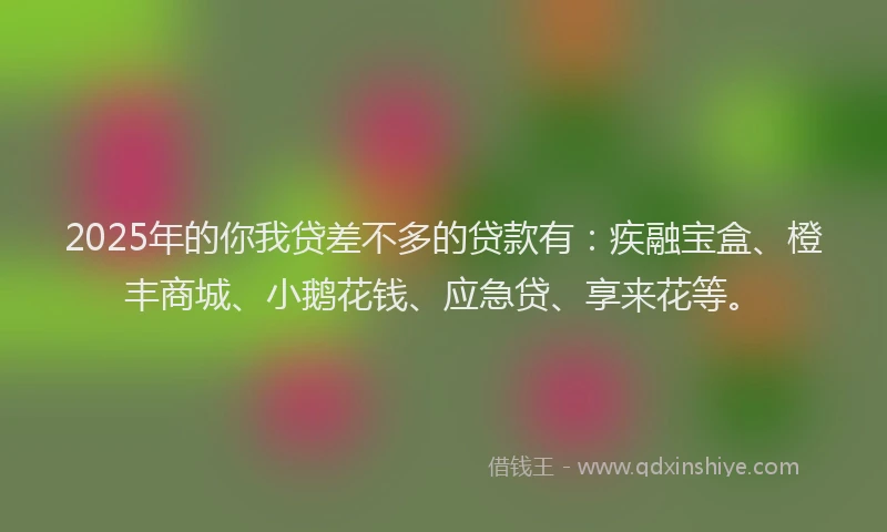 2025年的你我贷差不多的贷款有：疾融宝盒、橙丰商城、小鹅花钱、应急贷、享来花等。