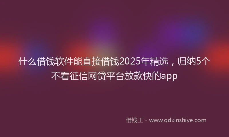 什么借钱软件能直接借钱2025年精选,归纳5个不看征信网贷平台放款快的app