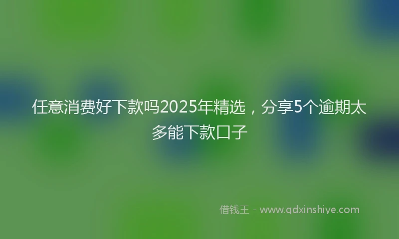 任意消费好下款吗2025年精选，分享5个逾期太多能下款口子
