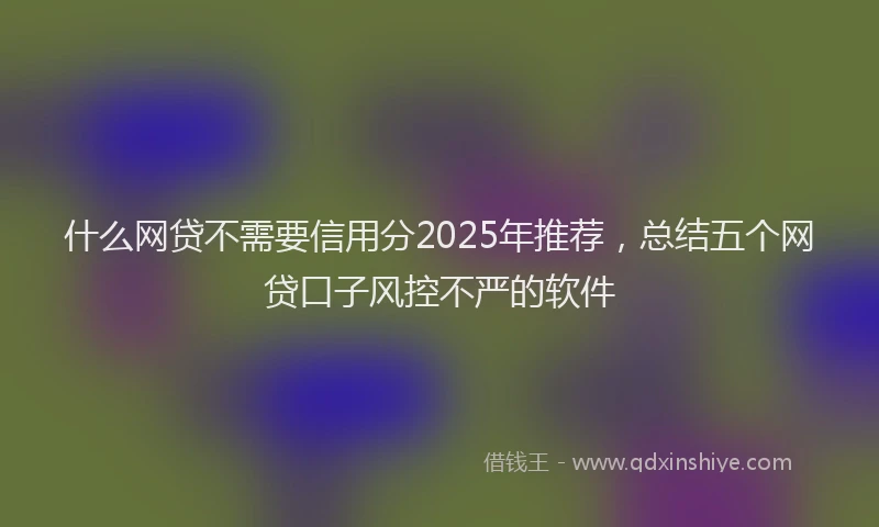 什么网贷不需要信用分2025年推荐，总结五个网贷口子风控不严的软件