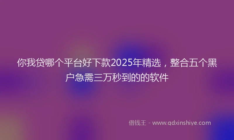 你我贷哪个平台好下款2025年精选，整合五个黑户急需三万秒到的的软件