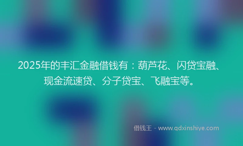 2025年的丰汇金融借钱有：葫芦花、闪贷宝融、现金流速贷、分子贷宝、飞融宝等。