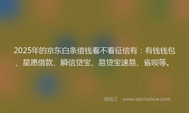 2025年的京东白条借钱看不看征信有：有钱钱包、星愿借款、瞬信贷宝、易贷宝速易、省呗等。