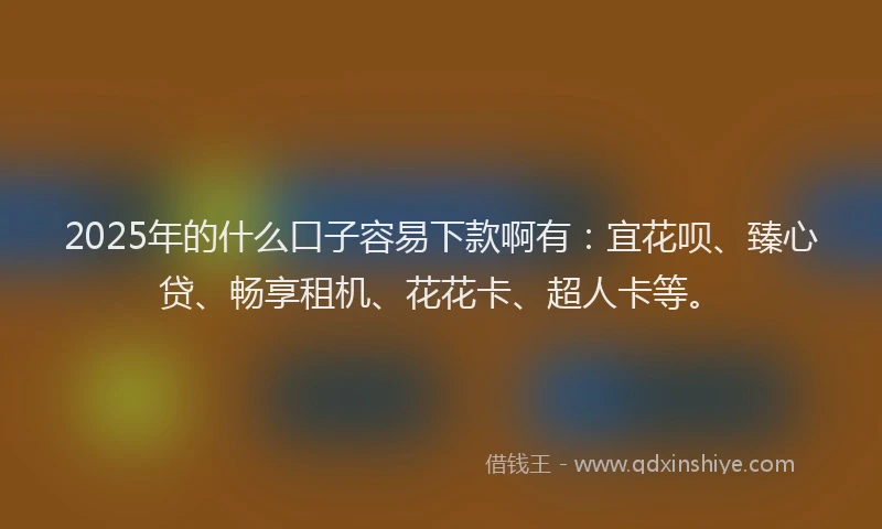 2025年的什么口子容易下款啊有：宜花呗、臻心贷、畅享租机、花花卡、超人卡等。