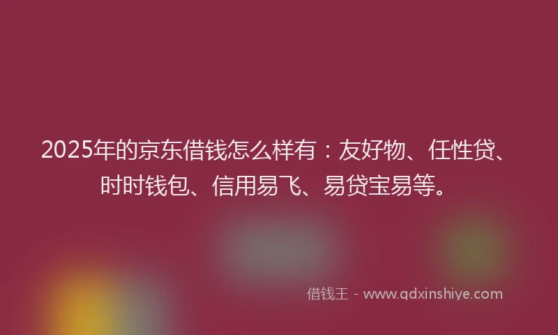 2025年的京东借钱怎么样有：友好物、任性贷、时时钱包、信用易飞、易贷宝易等。
