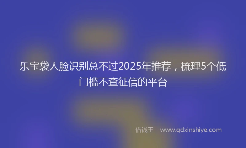 乐宝袋人脸识别总不过2025年推荐，梳理5个低门槛不查征信的平台
