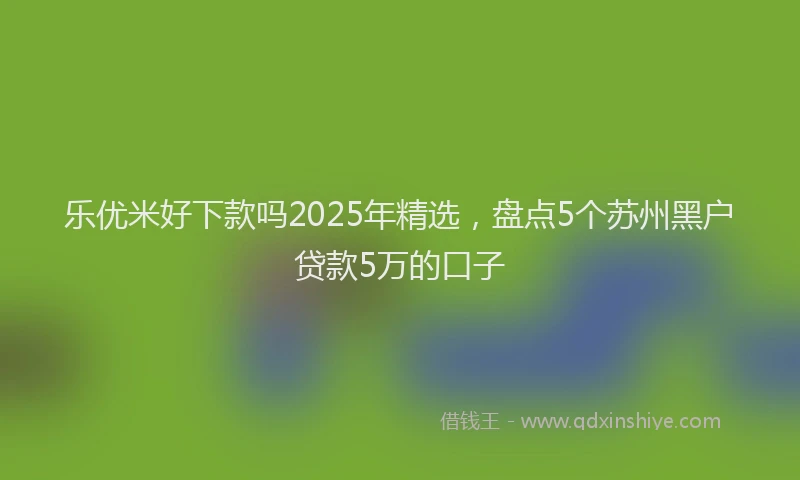 乐优米好下款吗2025年精选，盘点5个苏州黑户贷款5万的口子