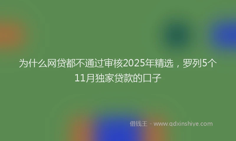 为什么网贷都不通过审核2025年精选，罗列5个11月独家贷款的口子