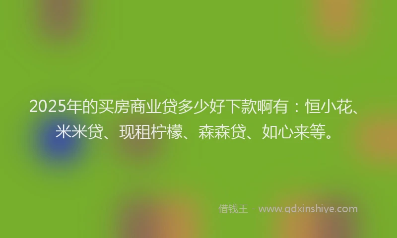 2025年的买房商业贷多少好下款啊有：恒小花、米米贷、现租柠檬、森森贷、如心来等。