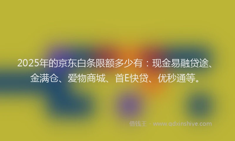 2025年的京东白条限额多少有：现金易融贷途、金满仓、爱物商城、首E快贷、优秒通等。