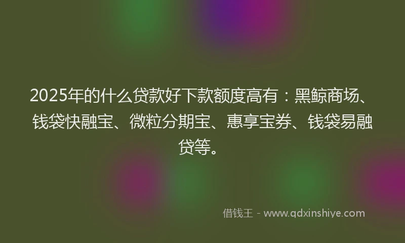 2025年的什么贷款好下款额度高有：黑鲸商场、钱袋快融宝、微粒分期宝、惠享宝券、钱袋易融贷等。