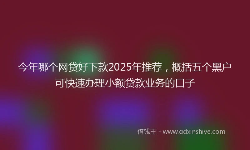今年哪个网贷好下款2025年推荐，概括五个黑户可快速办理小额贷款业务的口子