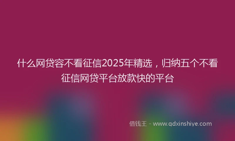 什么网贷容不看征信2025年精选，归纳五个不看征信网贷平台放款快的平台