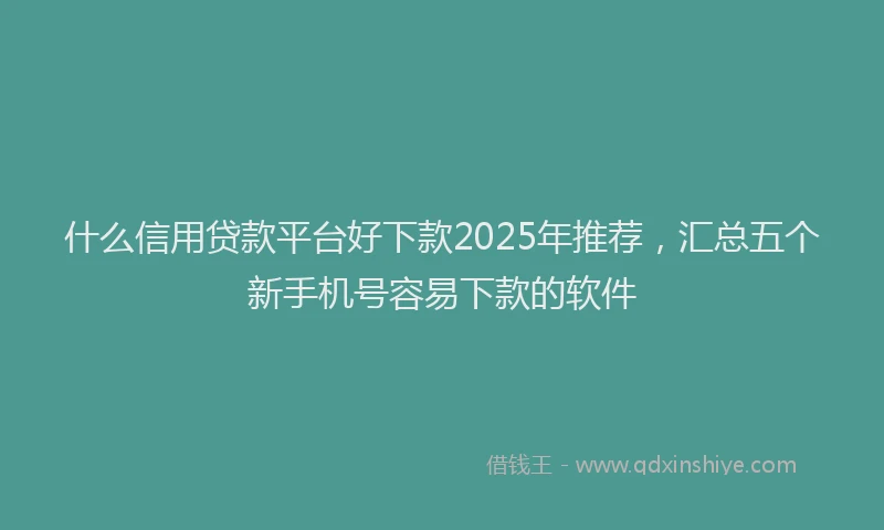 什么信用贷款平台好下款2025年推荐，汇总五个新手机号容易下款的软件