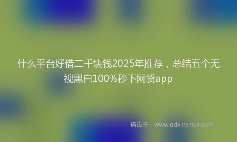 什么平台好借二千块钱2025年推荐，总结五个无视黑白100%秒下网贷app