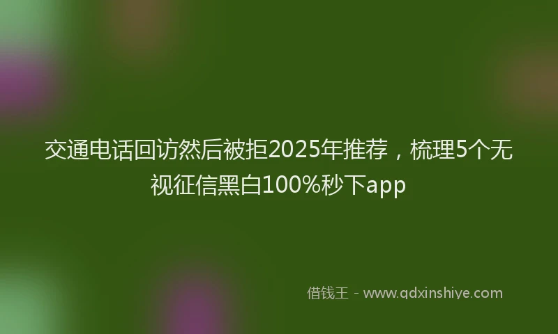 交通电话回访然后被拒2025年推荐，梳理5个无视征信黑白100%秒下app