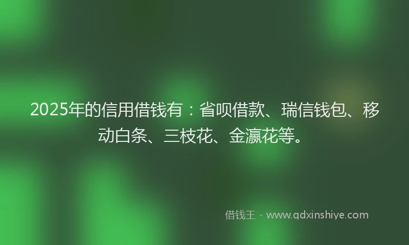 2025年的信用借钱有：省呗借款、瑞信钱包、移动白条、三枝花、金瀛花等。