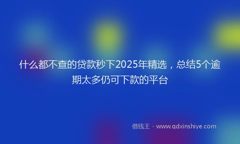 什么都不查的贷款秒下2025年精选，总结5个逾期太多仍可下款的平台