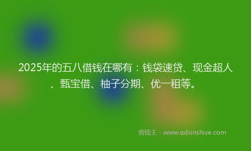 2025年的五八借钱在哪有：钱袋速贷、现金超人、甄宝借、柚子分期、优一租等。