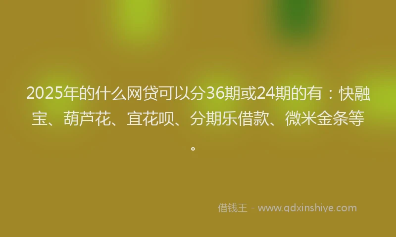 2025年的什么网贷可以分36期或24期的有：快融宝、葫芦花、宜花呗、分期乐借款、微米金条等。