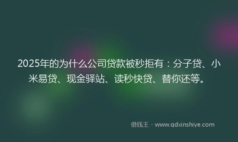 2025年的为什么公司贷款被秒拒有：分子贷、小米易贷、现金驿站、读秒快贷、替你还等。