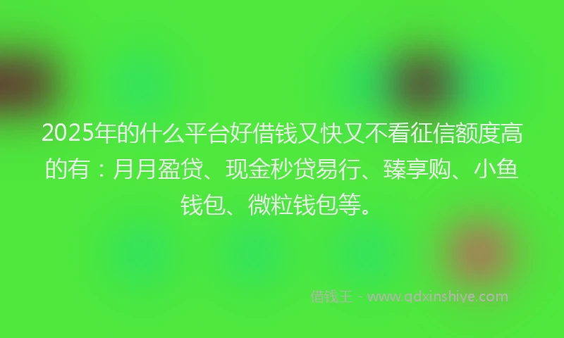 2025年的什么平台好借钱又快又不看征信额度高的有：月月盈贷、现金秒贷易行、臻享购、小鱼钱包、微粒钱包等。