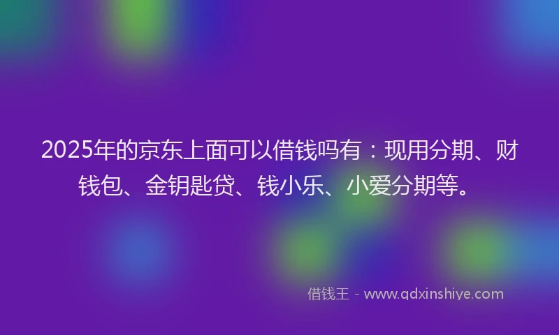 2025年的京东上面可以借钱吗有：现用分期、财钱包、金钥匙贷、钱小乐、小爱分期等。