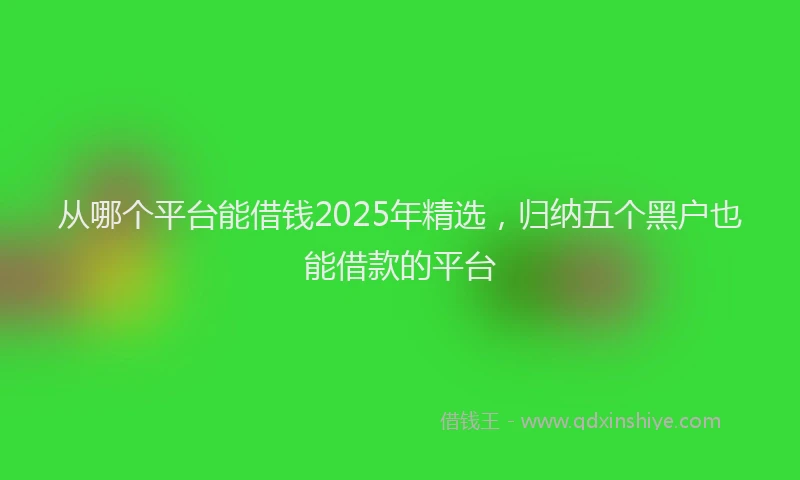 从哪个平台能借钱2025年精选,归纳五个黑户也能借款的平台
