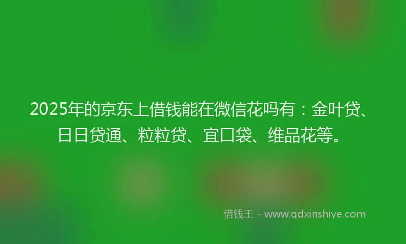 2025年的京东上借钱能在微信花吗有:金叶贷、日日贷通、粒粒贷、宜口袋、维品花等。
