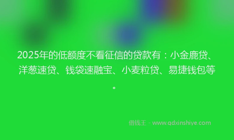 2025年的低额度不看征信的贷款有：小金鹿贷、洋葱速贷、钱袋速融宝、小麦粒贷、易捷钱包等。