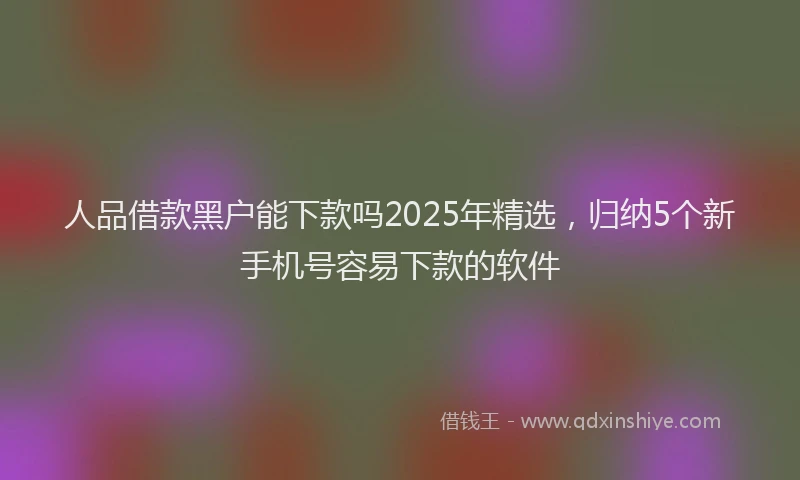 人品借款黑户能下款吗2025年精选，归纳5个新手机号容易下款的软件