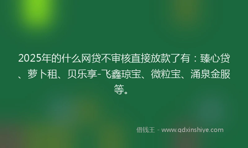 2025年的什么网贷不审核直接放款了有：臻心贷、萝卜租、贝乐享-飞鑫琼宝、微粒宝、涌泉金服等。
