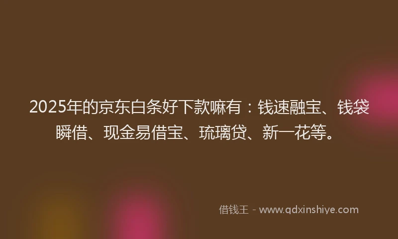 2025年的京东白条好下款嘛有：钱速融宝、钱袋瞬借、现金易借宝、琉璃贷、新一花等。