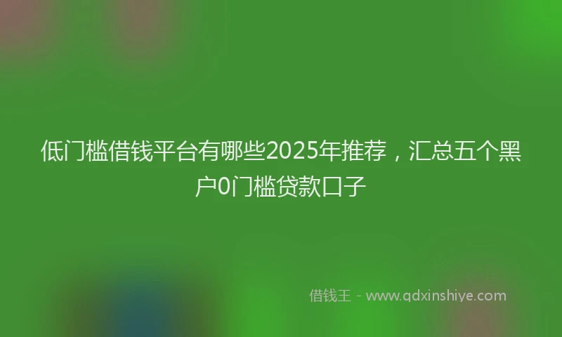 低门槛借钱平台有哪些2025年推荐，汇总五个黑户0门槛贷款口子