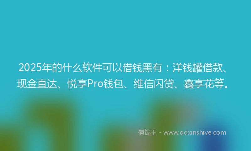 2025年的什么软件可以借钱黑有:洋钱罐借款、现金直达、悦享Pro钱包、维信闪贷、鑫享花等。