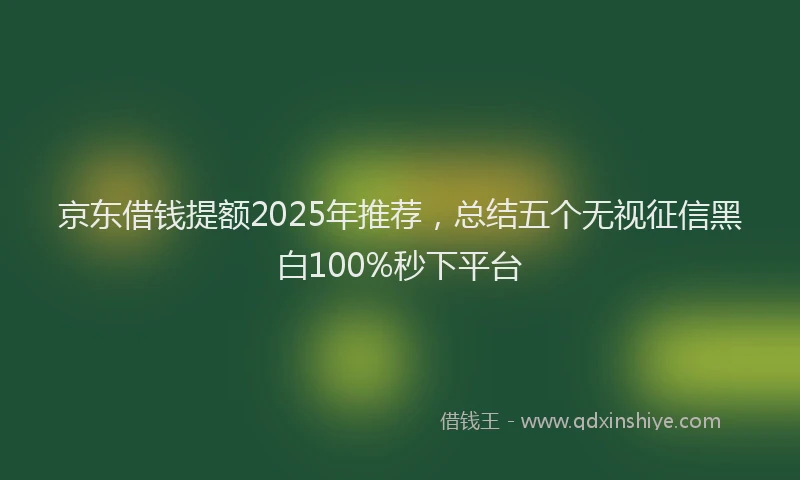 京东借钱提额2025年推荐，总结五个无视征信黑白100%秒下平台