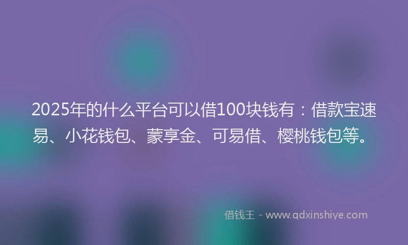 2025年的什么平台可以借100块钱有：借款宝速易、小花钱包、蒙享金、可易借、樱桃钱包等。