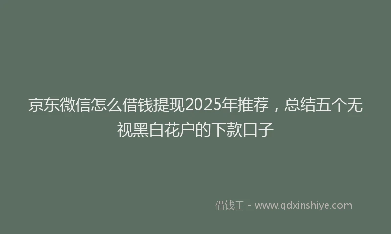 京东微信怎么借钱提现2025年推荐，总结五个无视黑白花户的下款口子