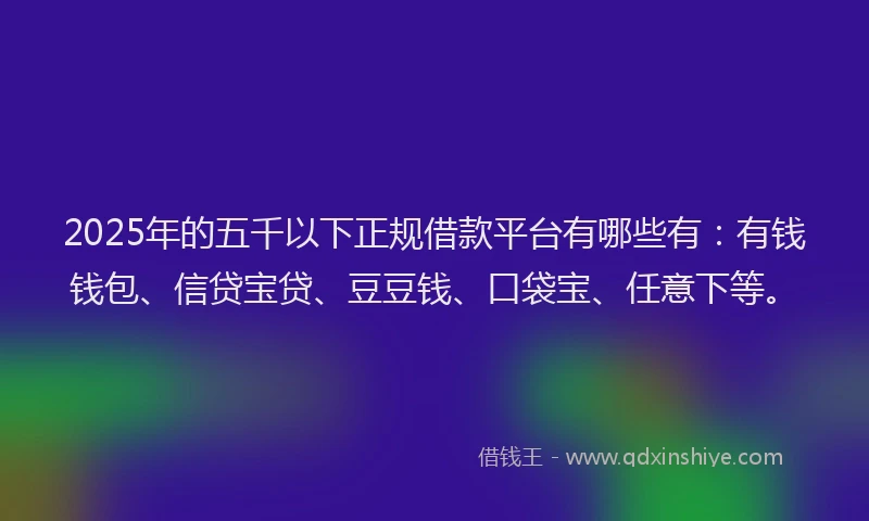2025年的五千以下正规借款平台有哪些有：有钱钱包、信贷宝贷、豆豆钱、口袋宝、任意下等。