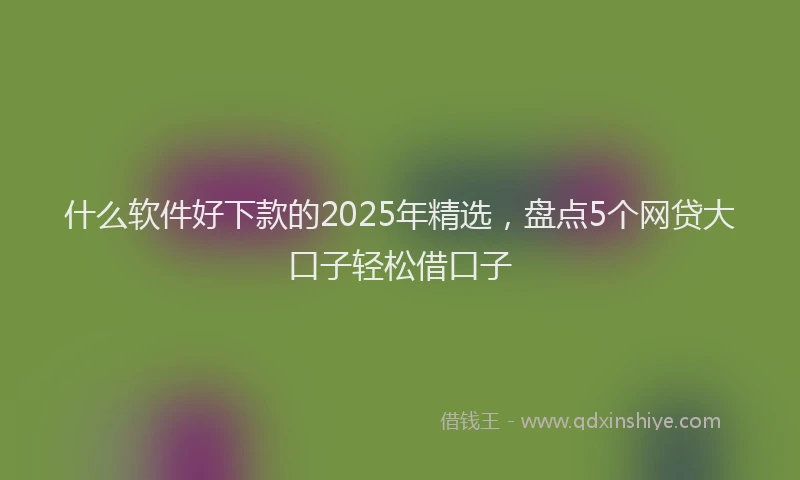 什么软件好下款的2025年精选，盘点5个网贷大口子轻松借口子