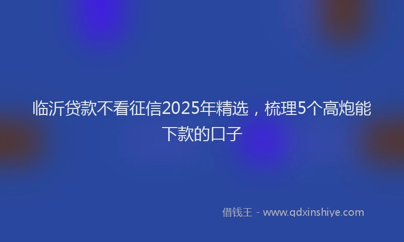 临沂贷款不看征信2025年精选，梳理5个高炮能下款的口子