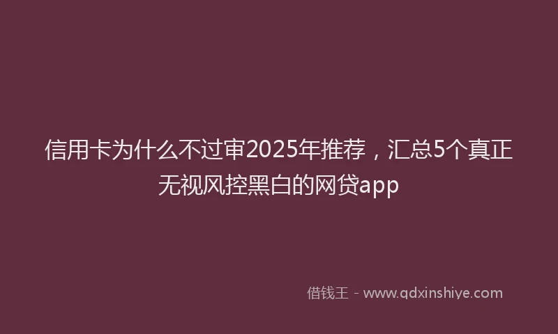 信用卡为什么不过审2025年推荐，汇总5个真正无视风控黑白的网贷app