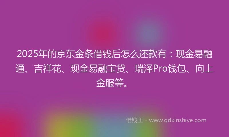 2025年的京东金条借钱后怎么还款有：现金易融通、吉祥花、现金易融宝贷、瑞泽Pro钱包、向上金服等。