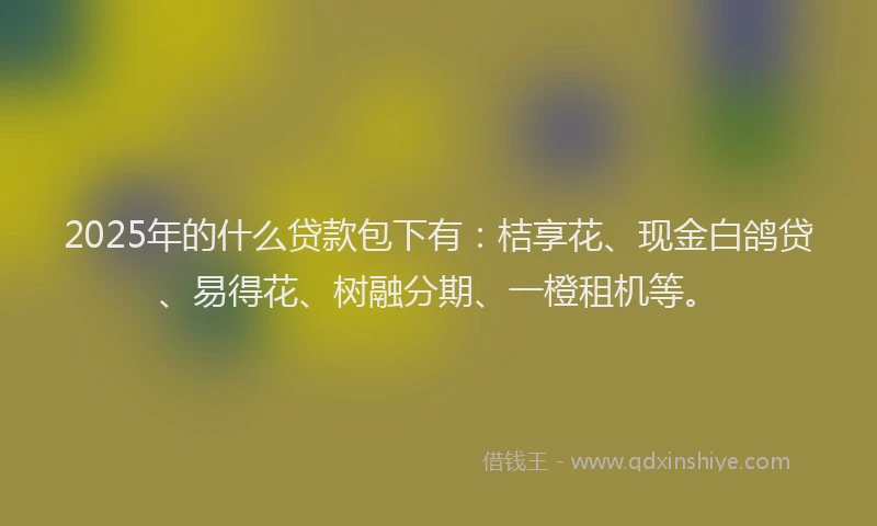 2025年的什么贷款包下有：桔享花、现金白鸽贷、易得花、树融分期、一橙租机等。