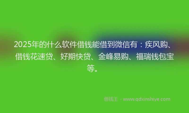 2025年的什么软件借钱能借到微信有：疾风购、借钱花速贷、好期快贷、金峰易购、福瑞钱包宝等。