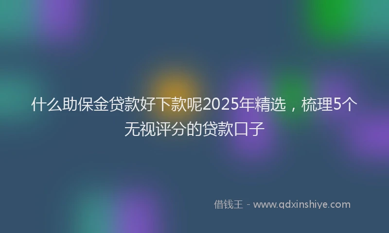 什么助保金贷款好下款呢2025年精选，梳理5个无视评分的贷款口子
